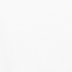 Tecido Voil Cravo - (01) Branco - 3,00m