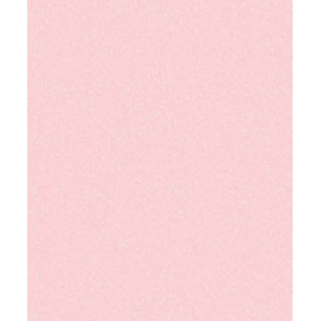 Papel de Parede 5003 Papel de Parede 5003