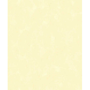 Papel de Parede 5102 Papel de Parede 5102