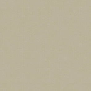 Papel de Parede VC 0503