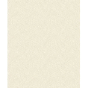 Papel de Parede VC 1102 Papel de Parede VC 1102