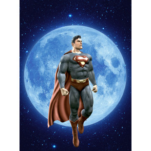 Painel Fotográfico 16D ZHWK-00086 - 3,30 x 2,60m (3PCS)