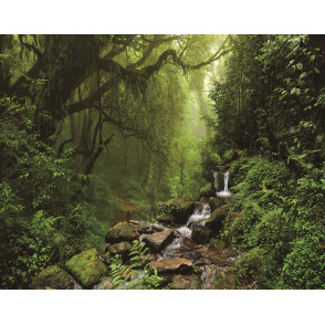 Painel Fotográfico WT-278 - 3,30 x 2,60m (4PCS)