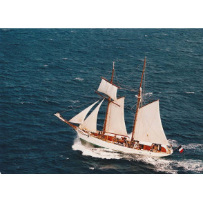 Painel Fotográfico YD5003-32 - 3,30 x 2,60m