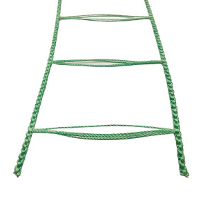 Cadarço PH 25mm BK - Verde 755