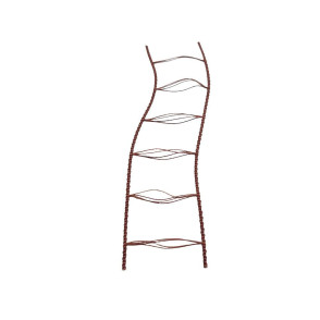 Cadarço PH 16mm - Milk Chocolate 060