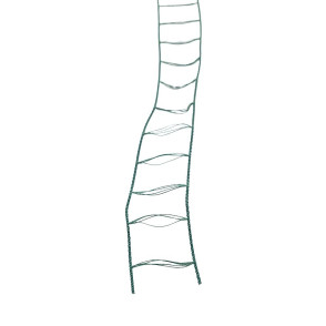 Cadarço PH 25mm - Forest Green 061