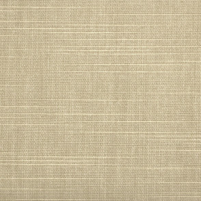 Tecido Rolô Translúcido Picasso Trans Amendoa 2,50m