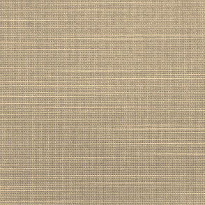 Tecido Rolô Translúcido Picasso Trans Bege 2,50m