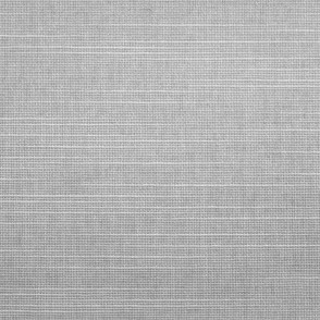 Tecido Rolô Translúcido Picasso Trans Gelo 2,50m