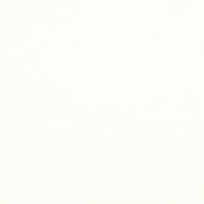 Tecido Rolô Translúcido Amazonas Trans Branco 44 2,50m