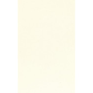 Tecido Vertical Aquarela Trans Dnv 0101 Creme - 90mm